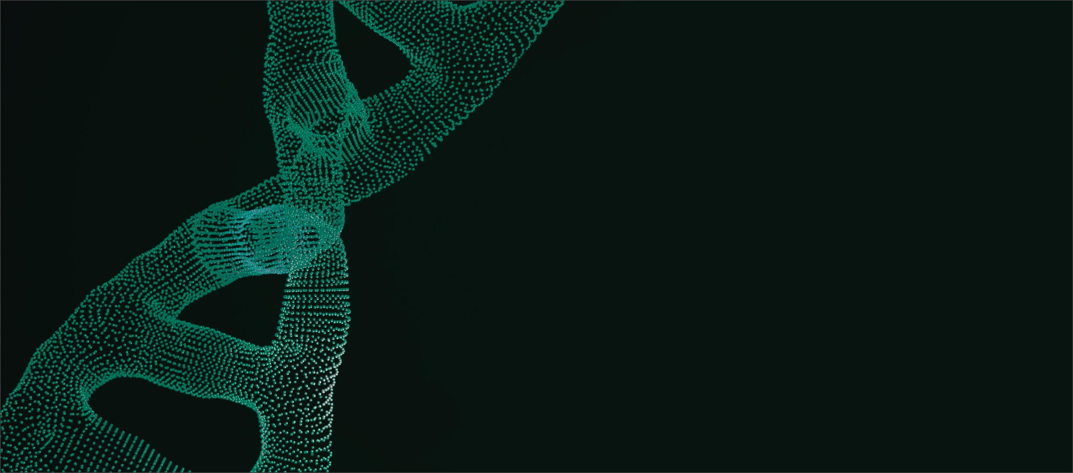 HealthTech-Softwareentwicklung 02